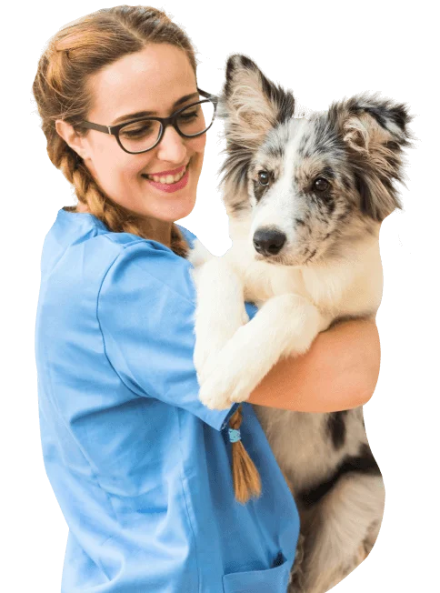 Veterinária da Mundo Animal segurando um cachorro no colo em Palotina - PR